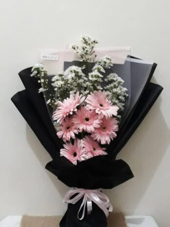 Pink Gerbera Daisy